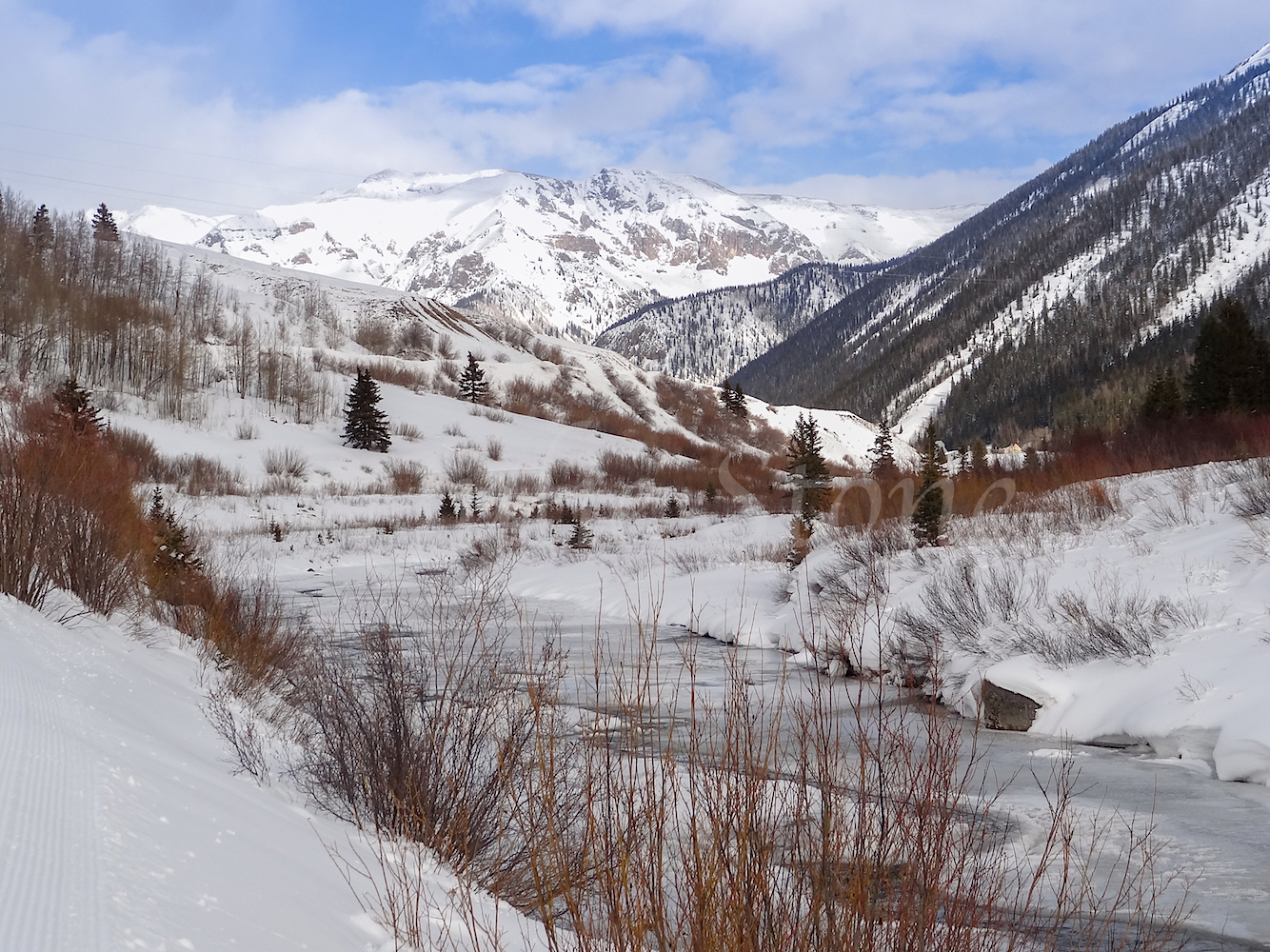 Silverton, Image #4537