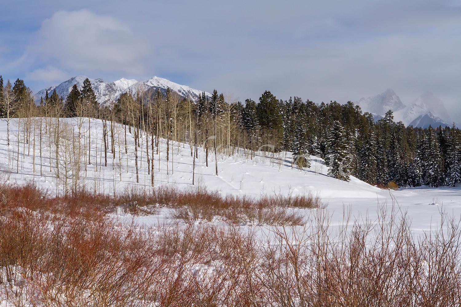 Needles Mountains, Image #9236