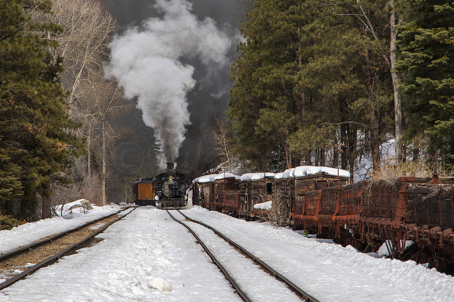 Winter Train, Image # JS-1179