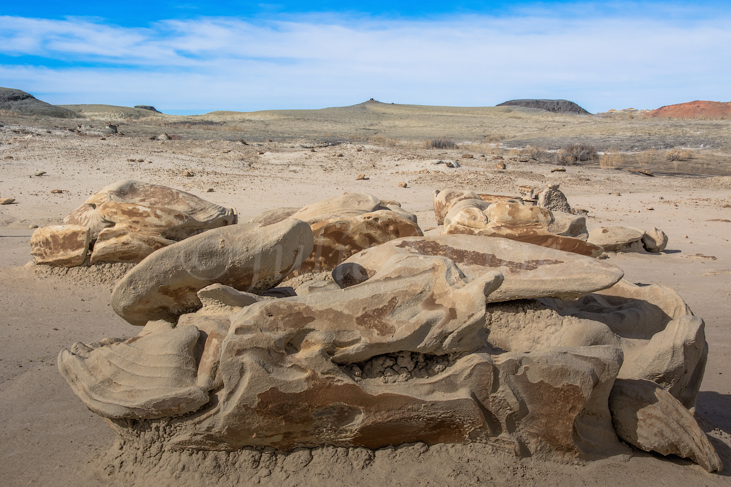 Bisti, Image #Js_2836