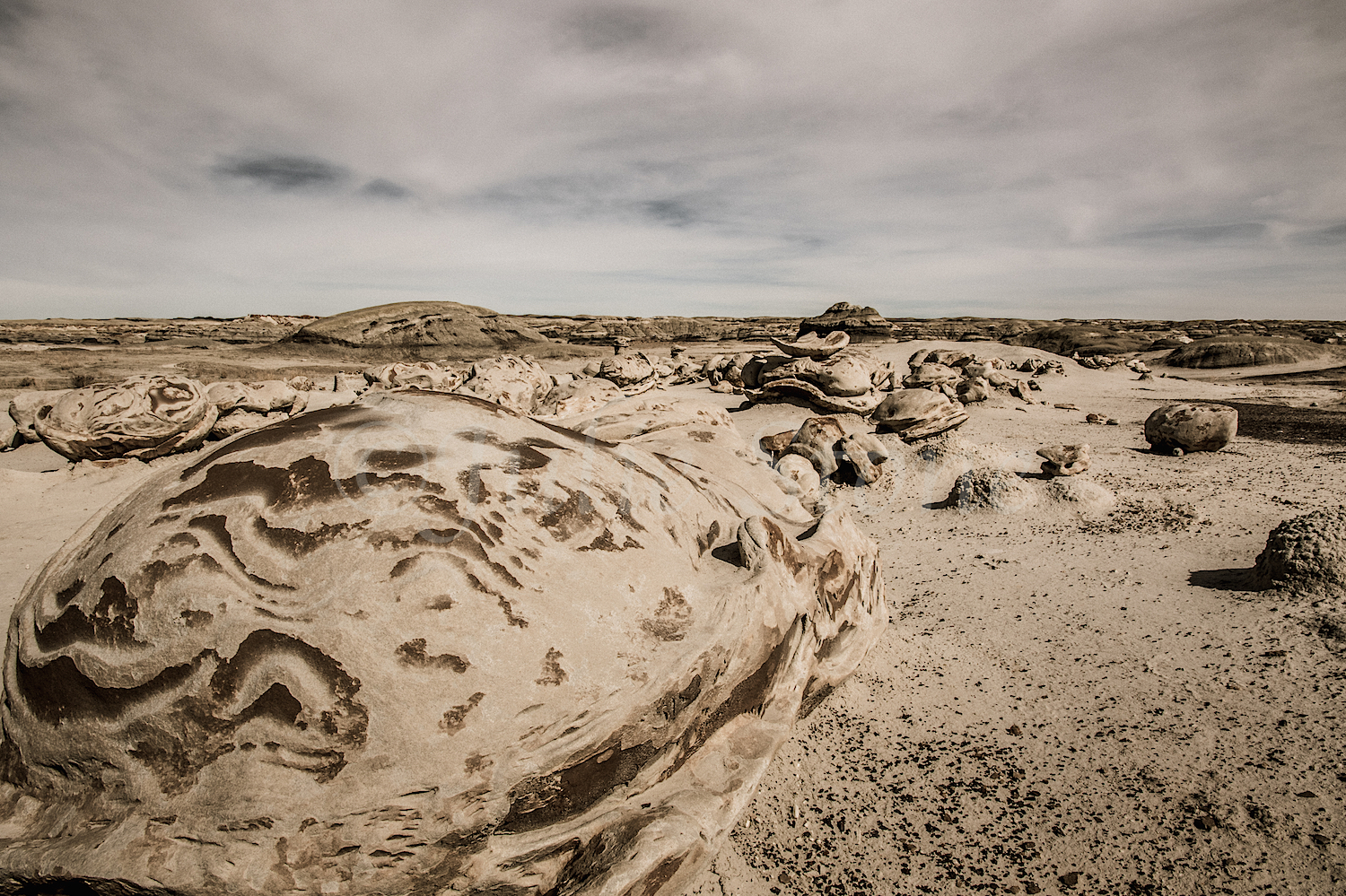 Bisti, Image #Js_2842