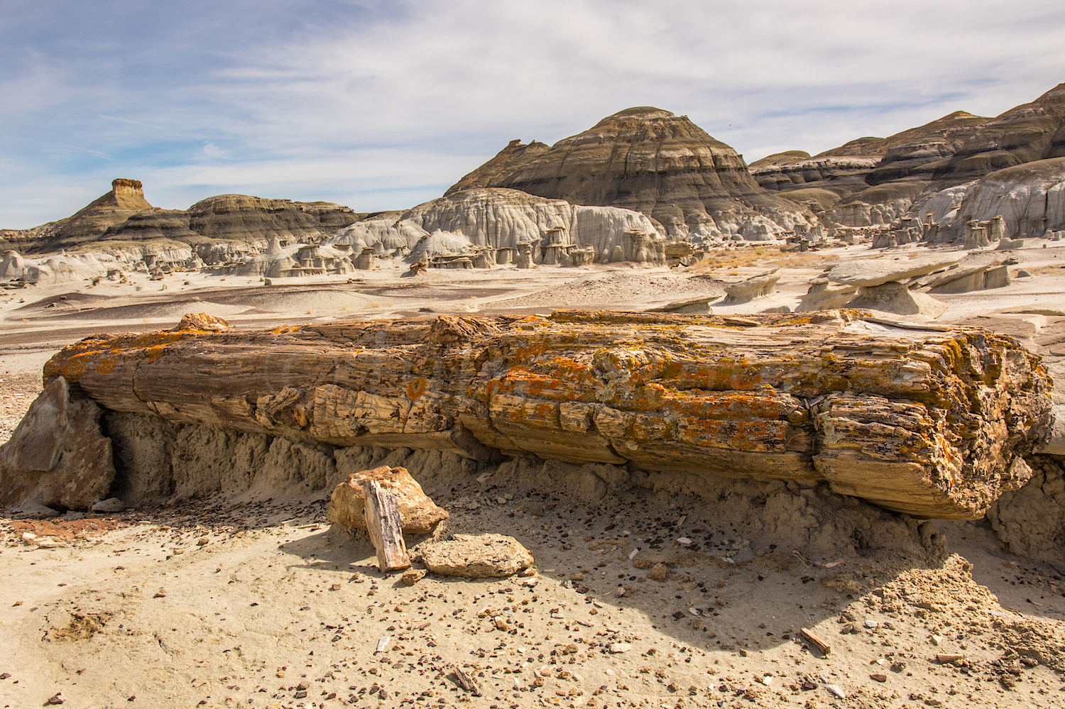 Bisti, Image #Js_3172