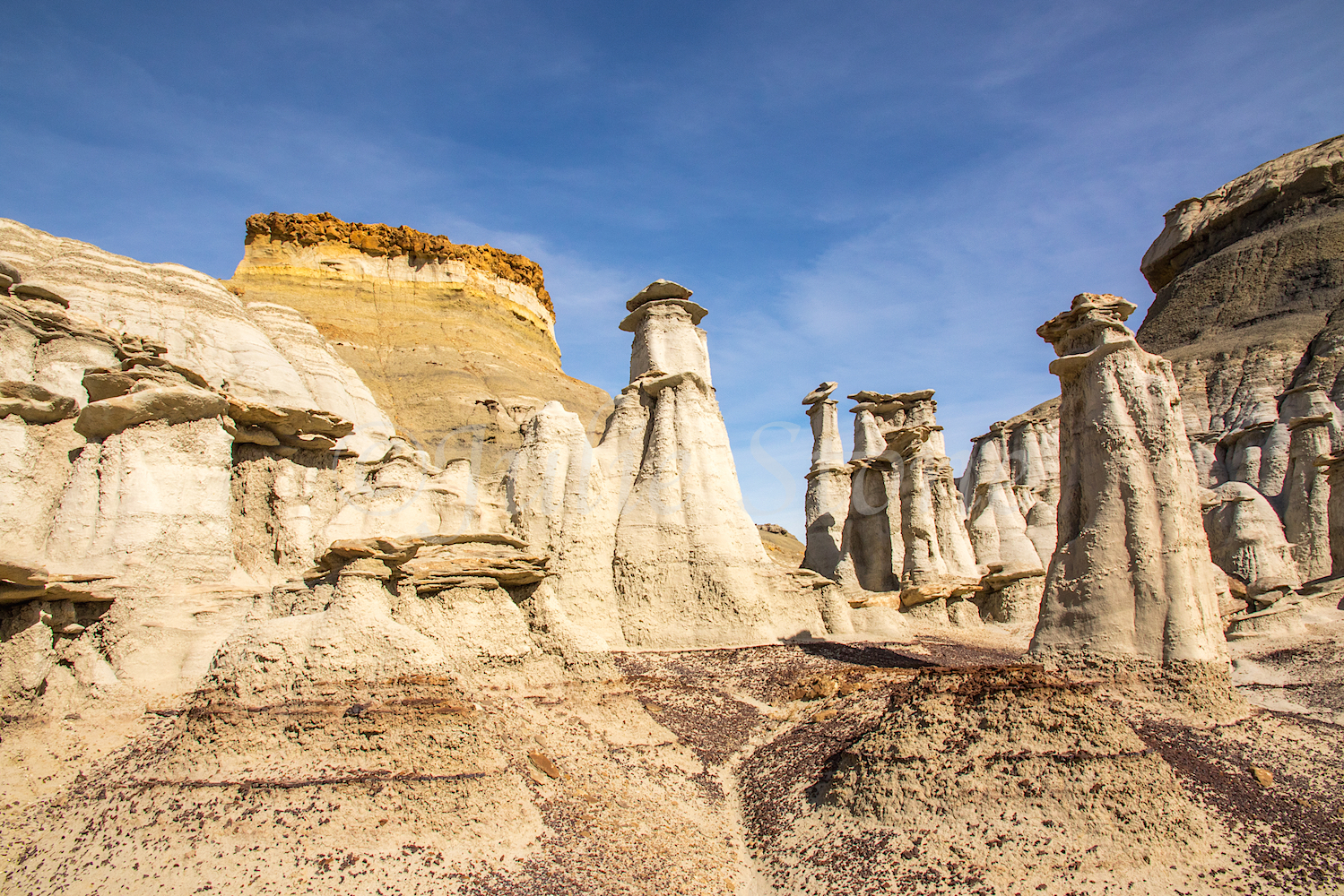 Bisti, Image #Js_3402