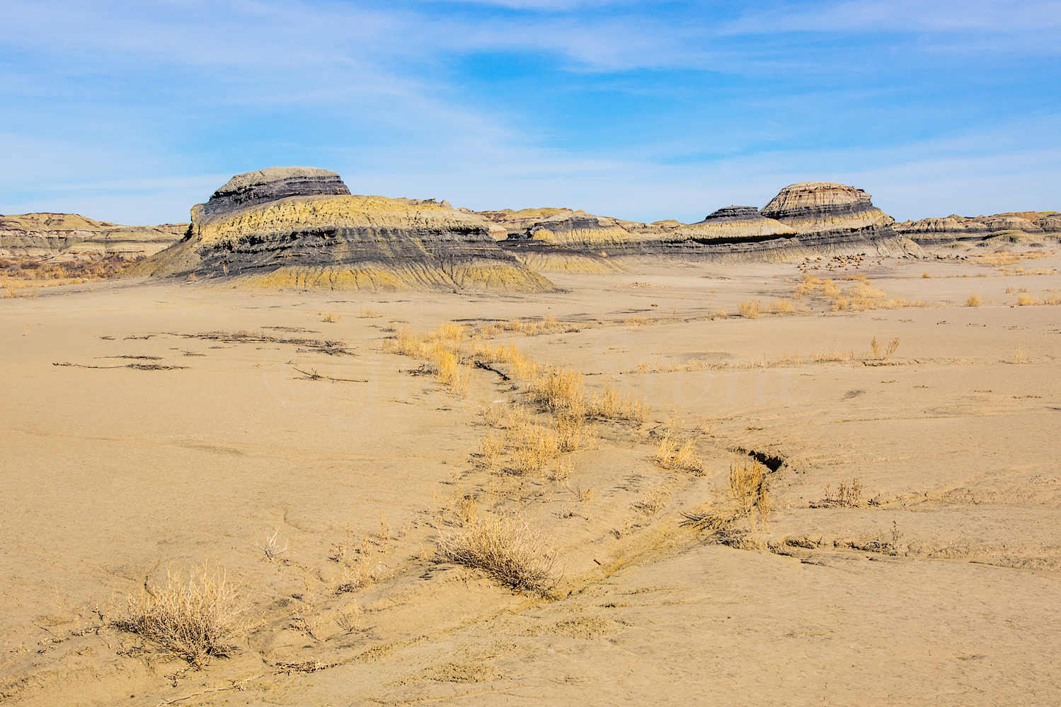 Bisti, Image #Js_3442