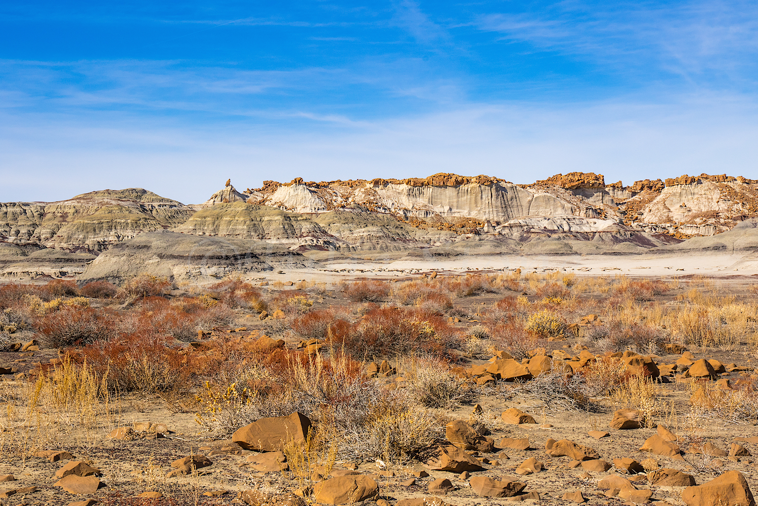 Bisti, Image #Js_3451