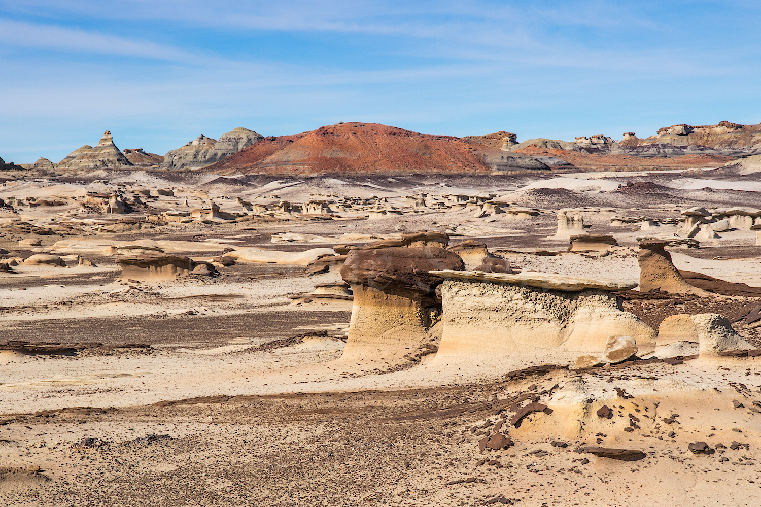 Bisti, Image #Js_3935