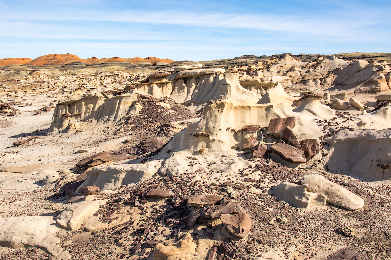 Bisti, Image #Js_3965