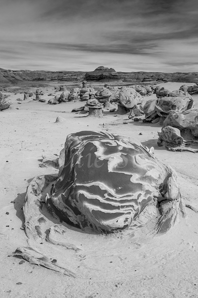 Bisti, Image #Js_2922