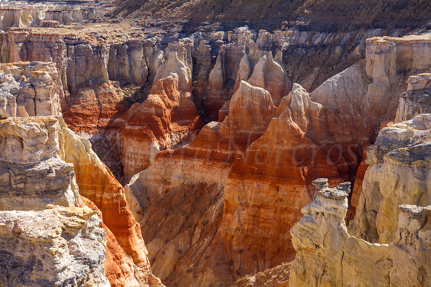 Coal Mine Canyon, Image #2821