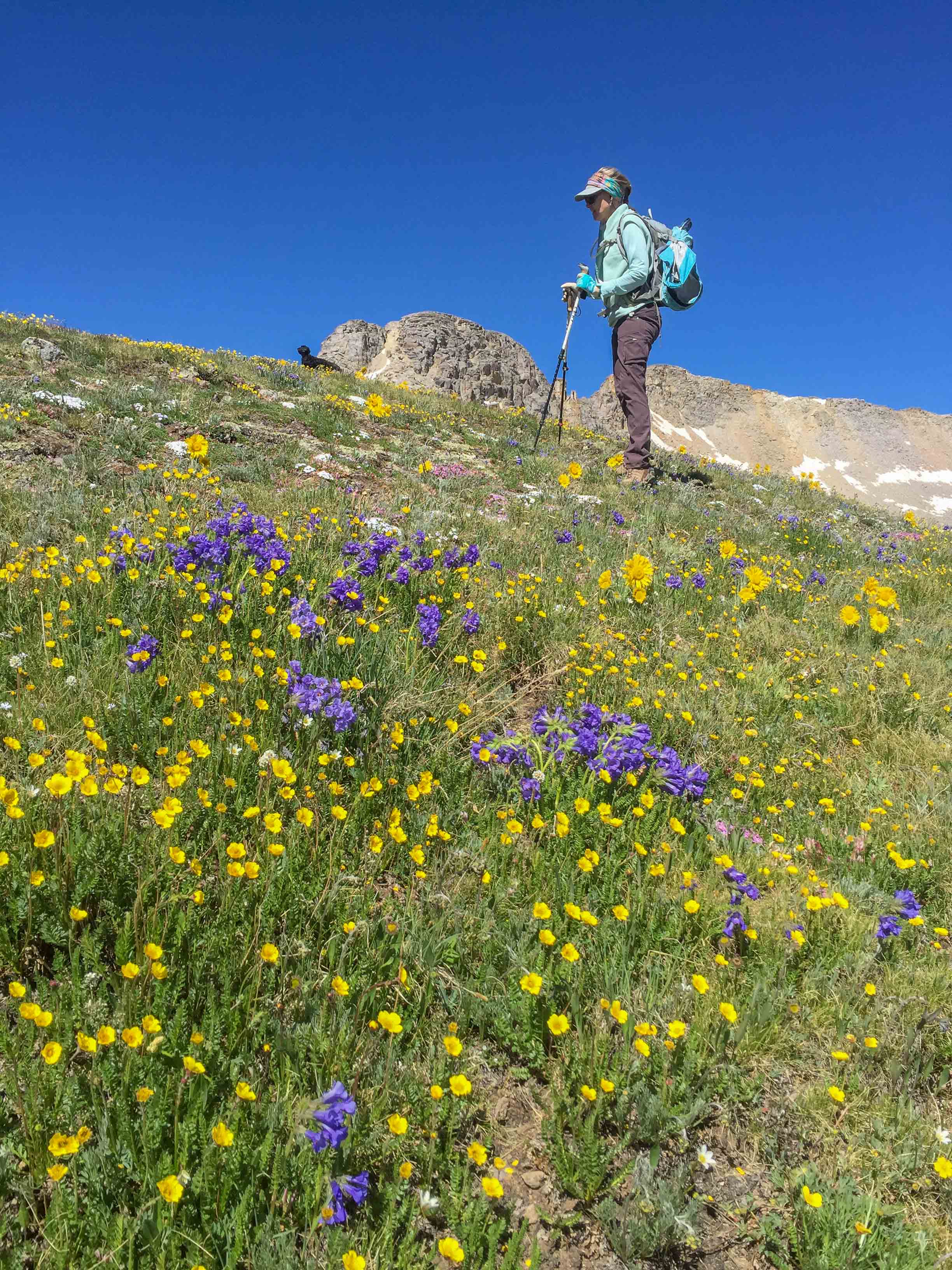 Jane Marie enjoys the massive field of wildflowers