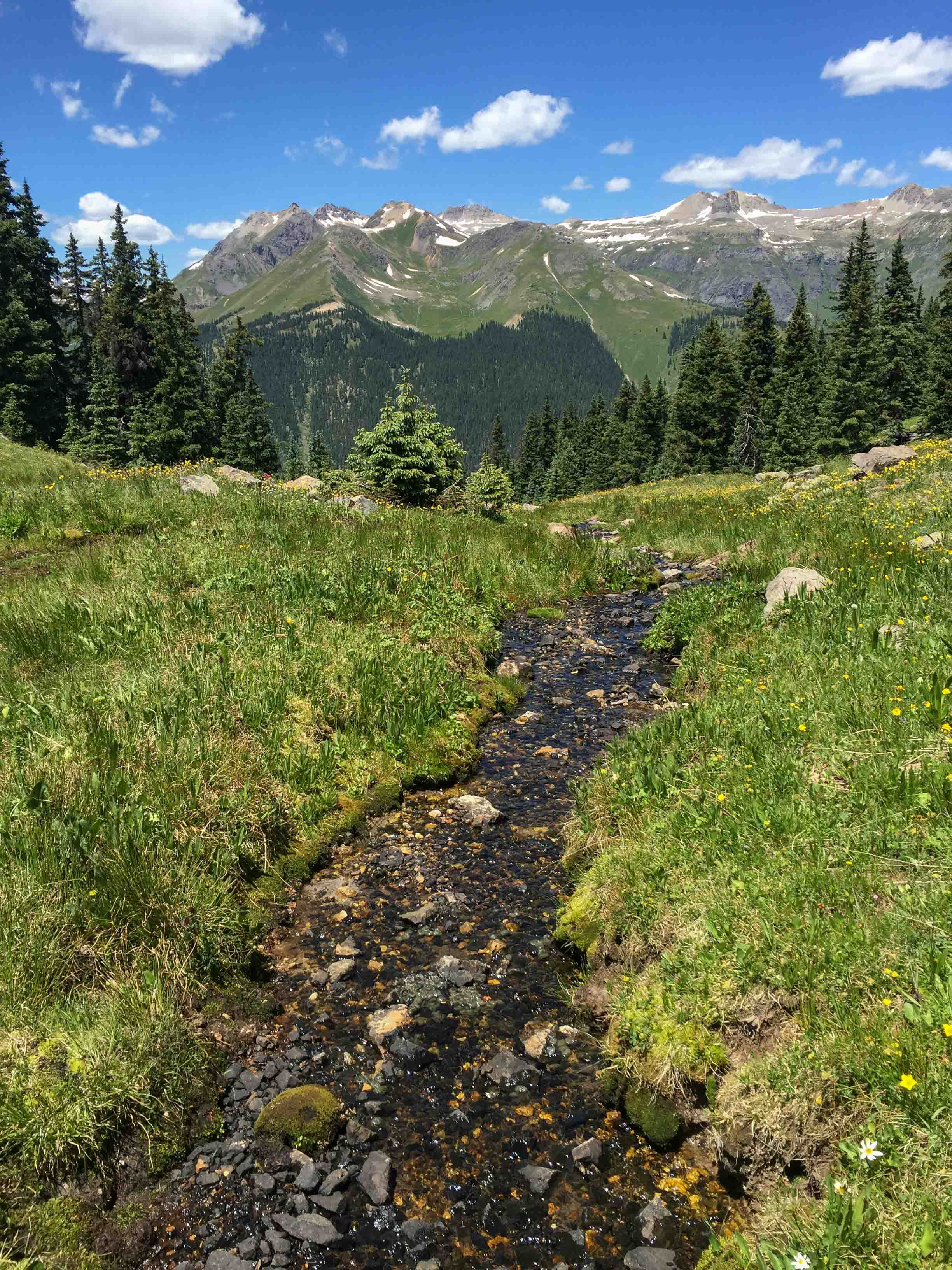 Streams and Mountain views