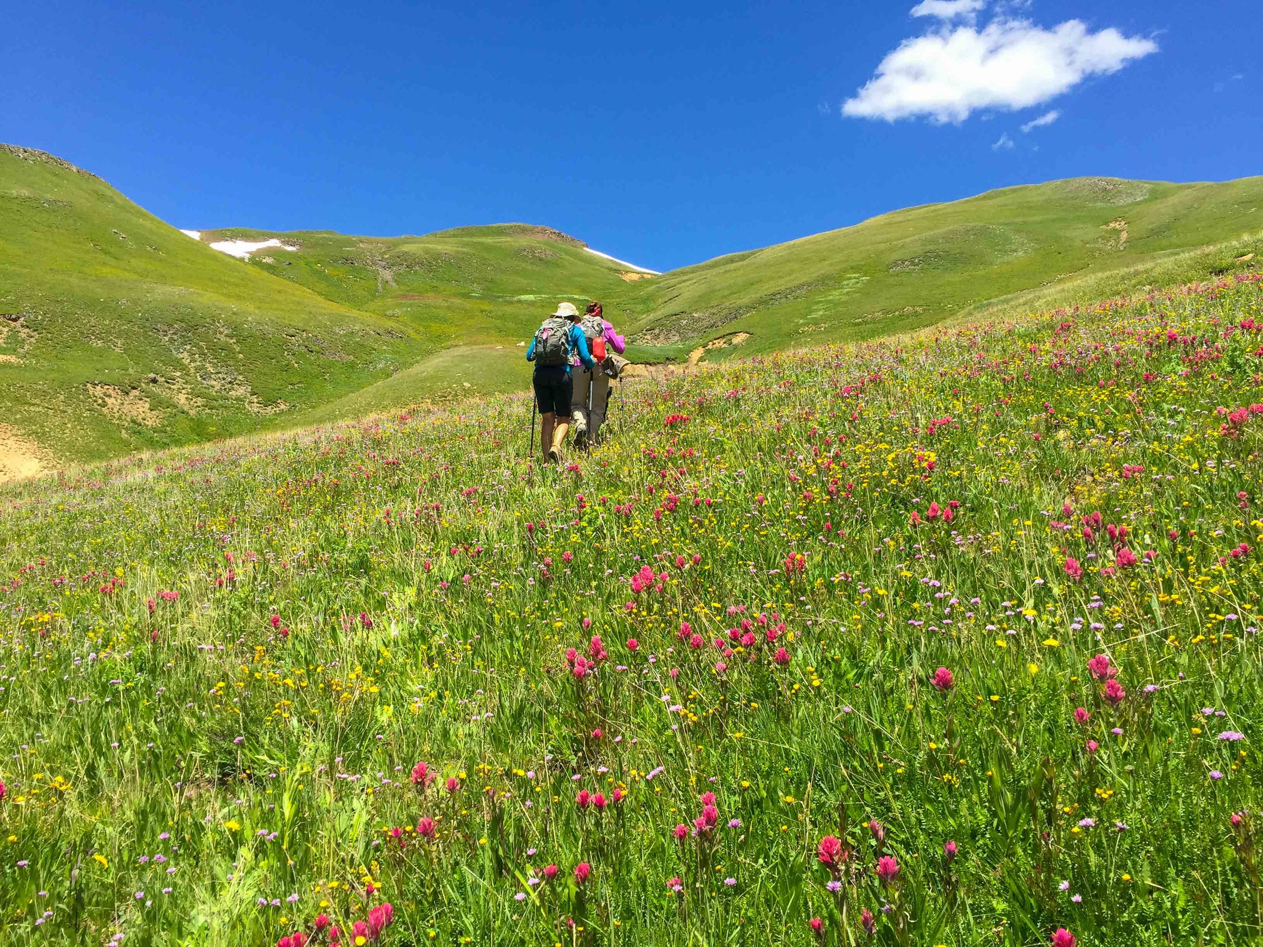 Angela and Gina head through the flower filled meadow