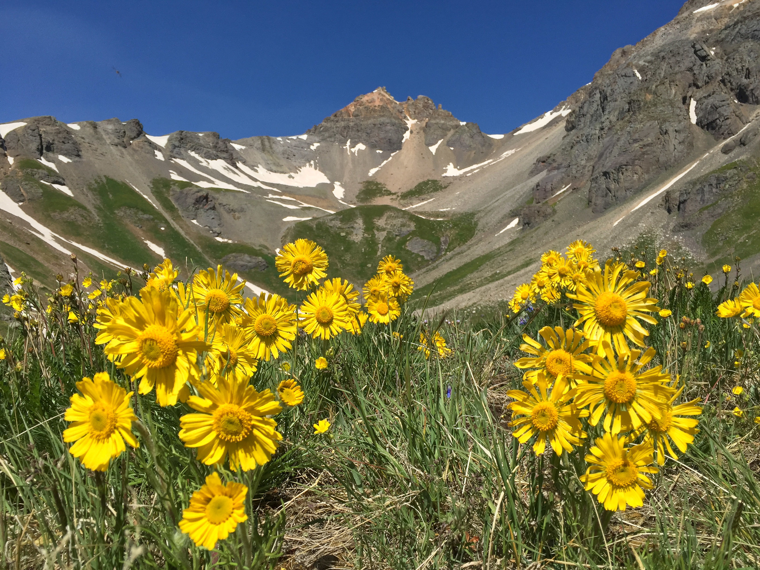 Old Man of the Mountain near Island Lake