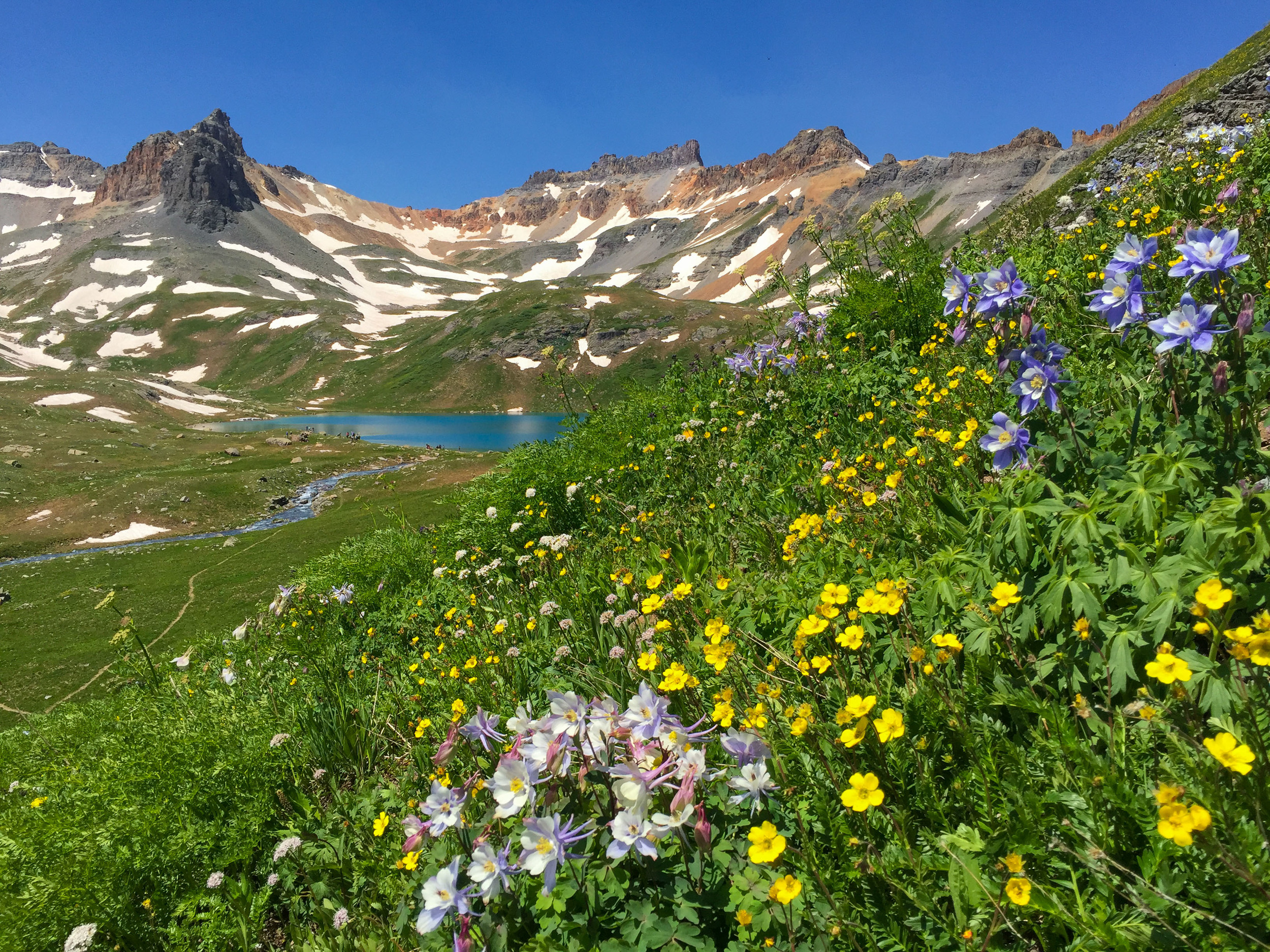 Wildflowers and Ice Lake
