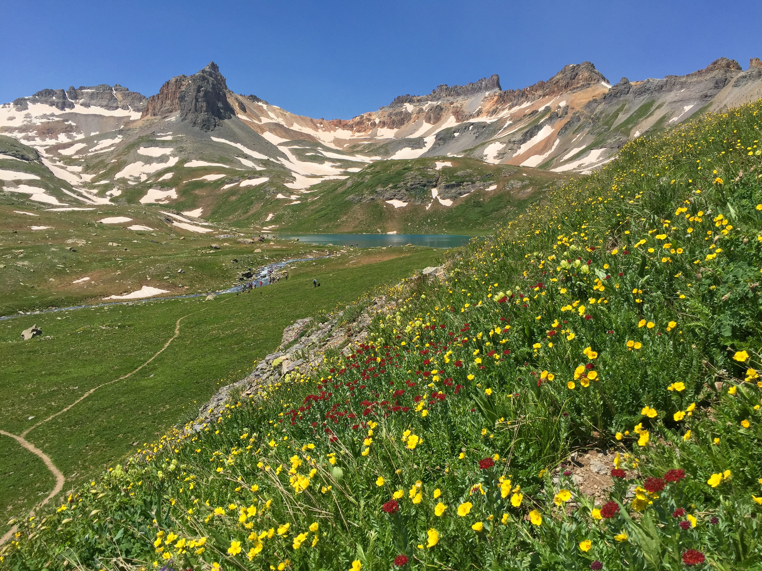 Kings Crown and a multitude of wildflowers nearing Ice Lake