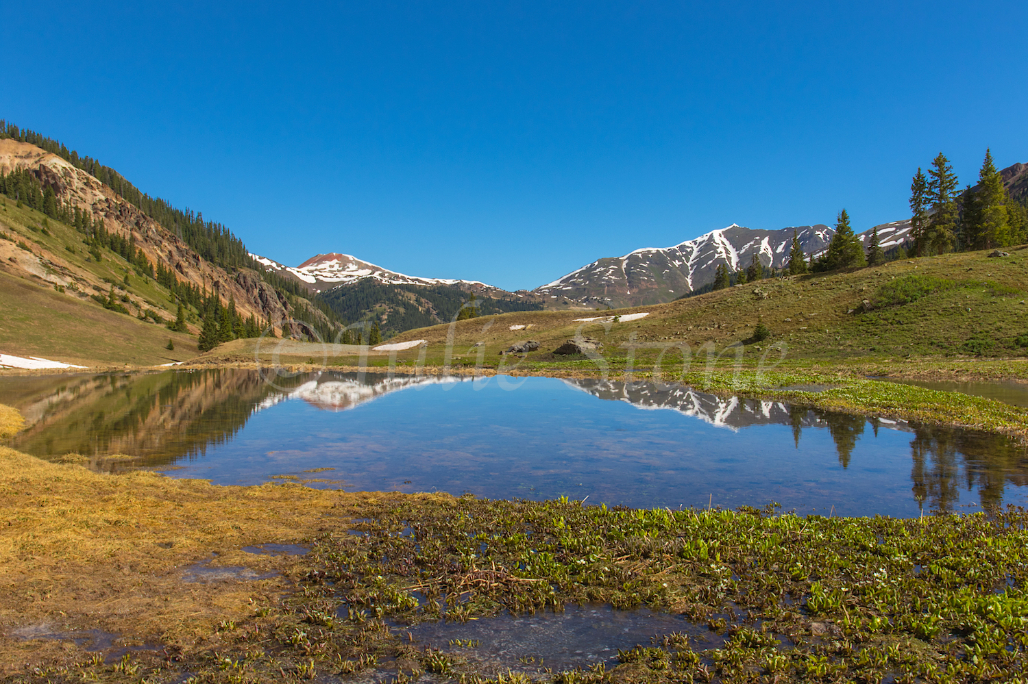 Reflection in Pond near Velocity Lake, Image #JS2_1717