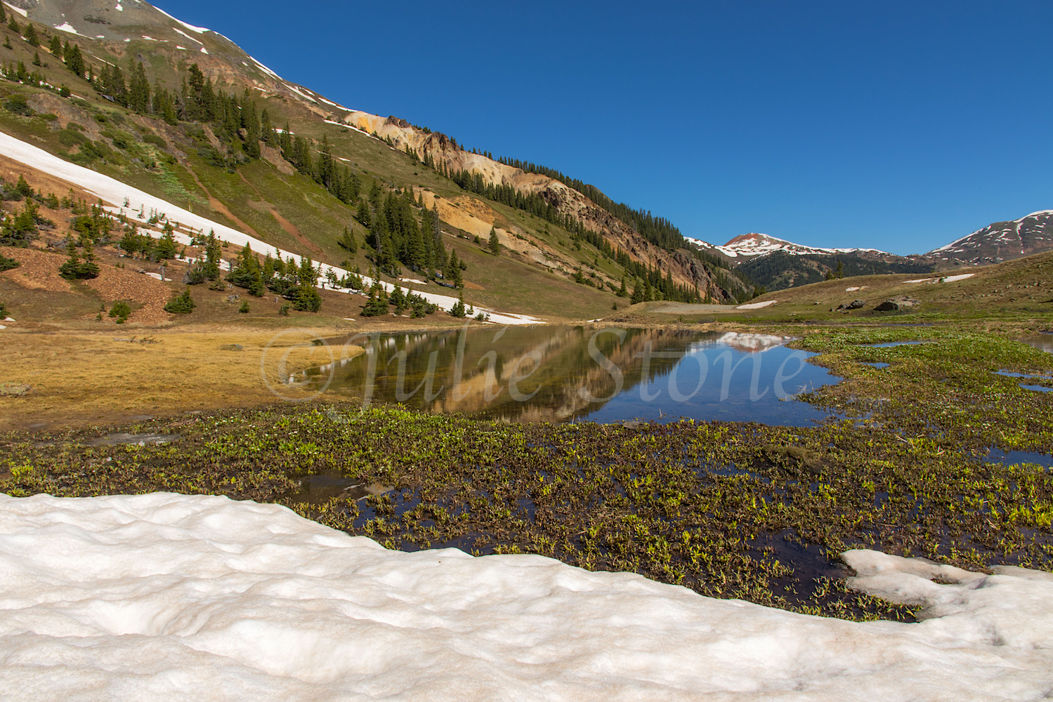 Reflection in Pond near Velocity Lake, Image #JS2_1751