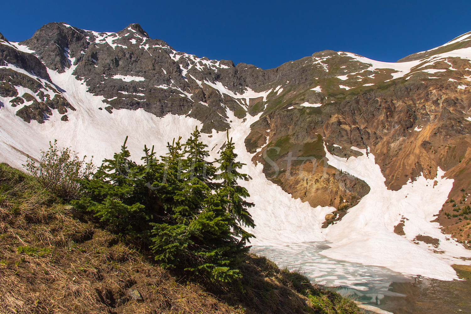 Hillside above Velocity Lake, Image #JS2_1852