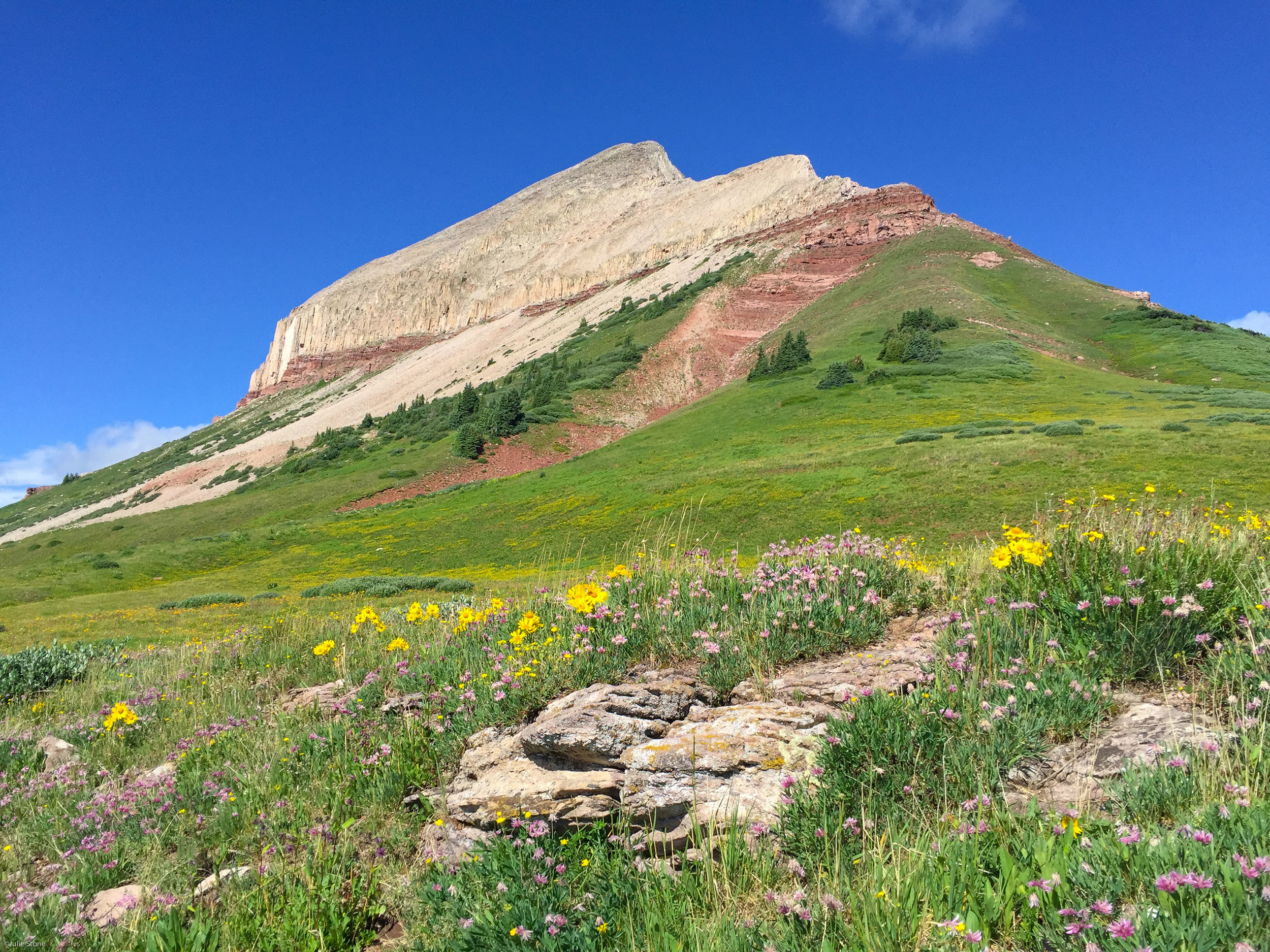 Engineer Mountain with Old Man of the Mountain flowers