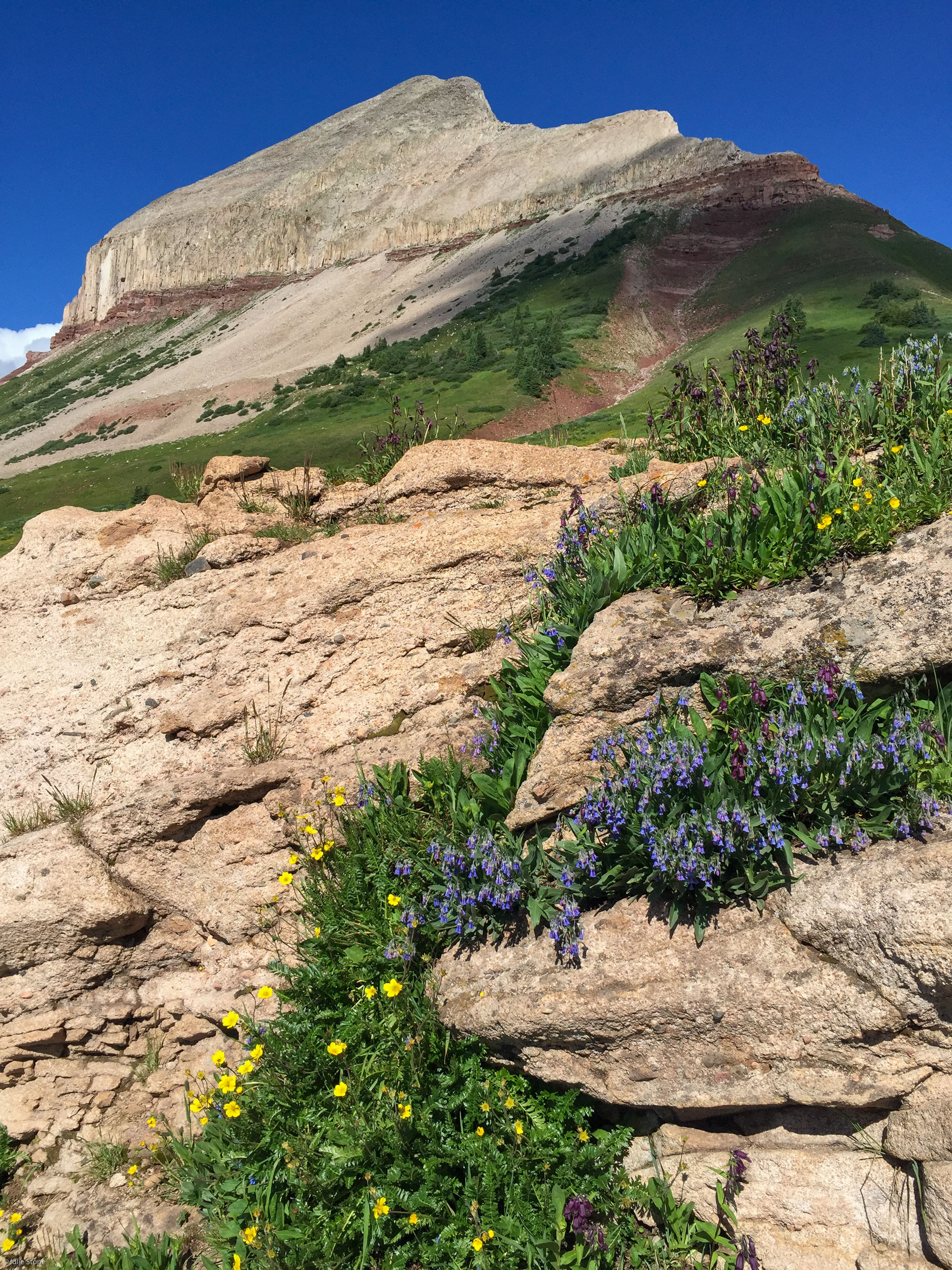 Engineer Mountain and Wildflowers