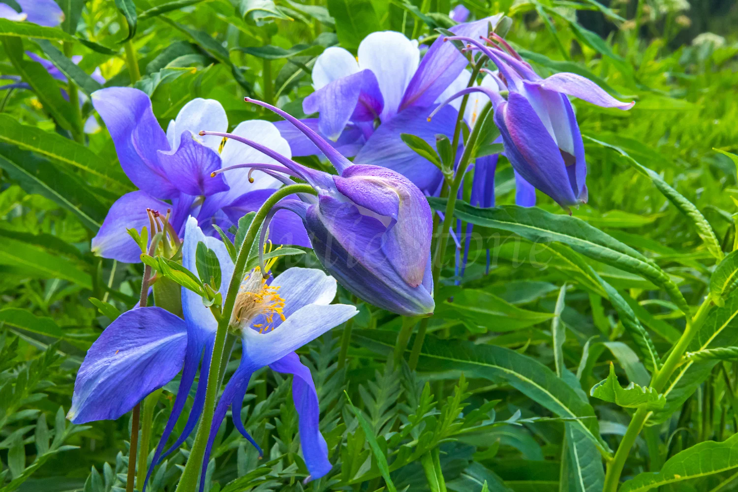 JS2_6925.jpg