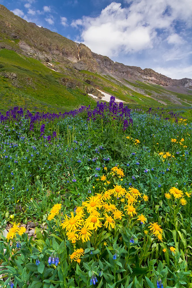 Spirit Basin, Image # 5675