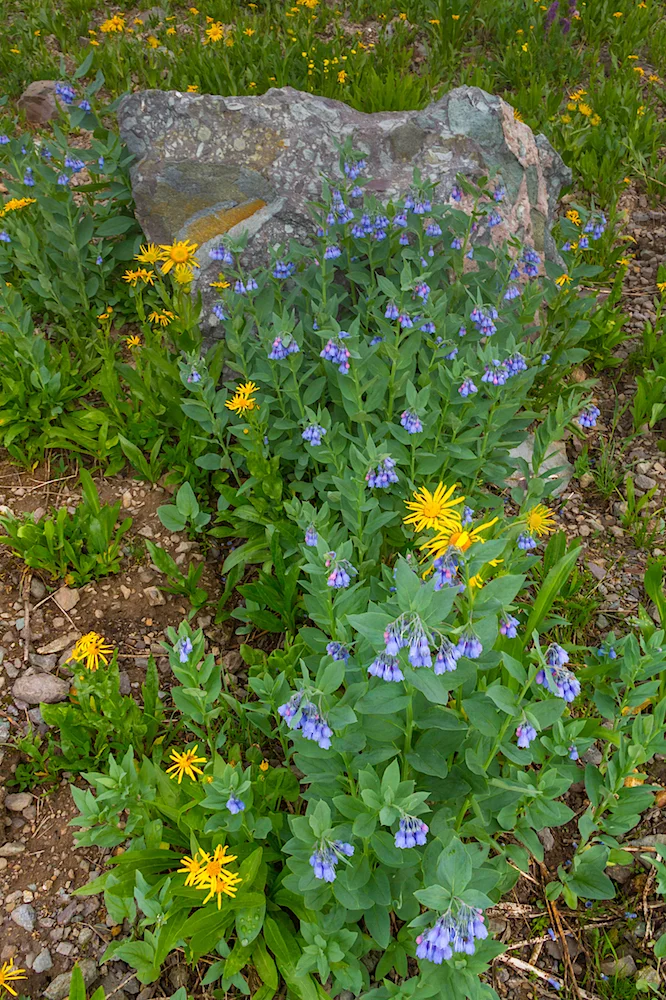 Spirit Basin, Image # 7825