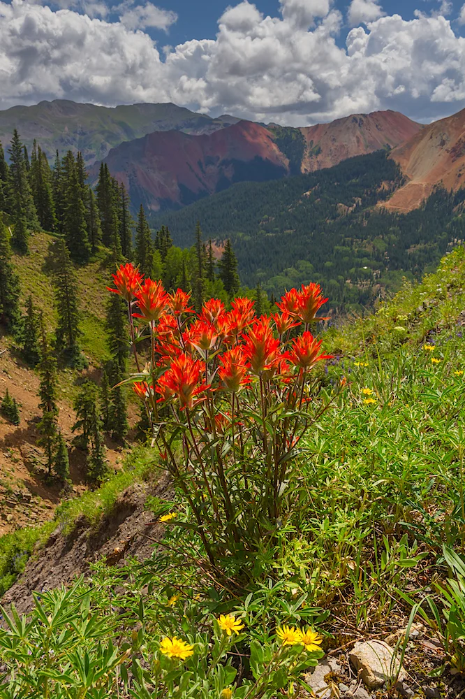 Spirit Basin, Image # 8293
