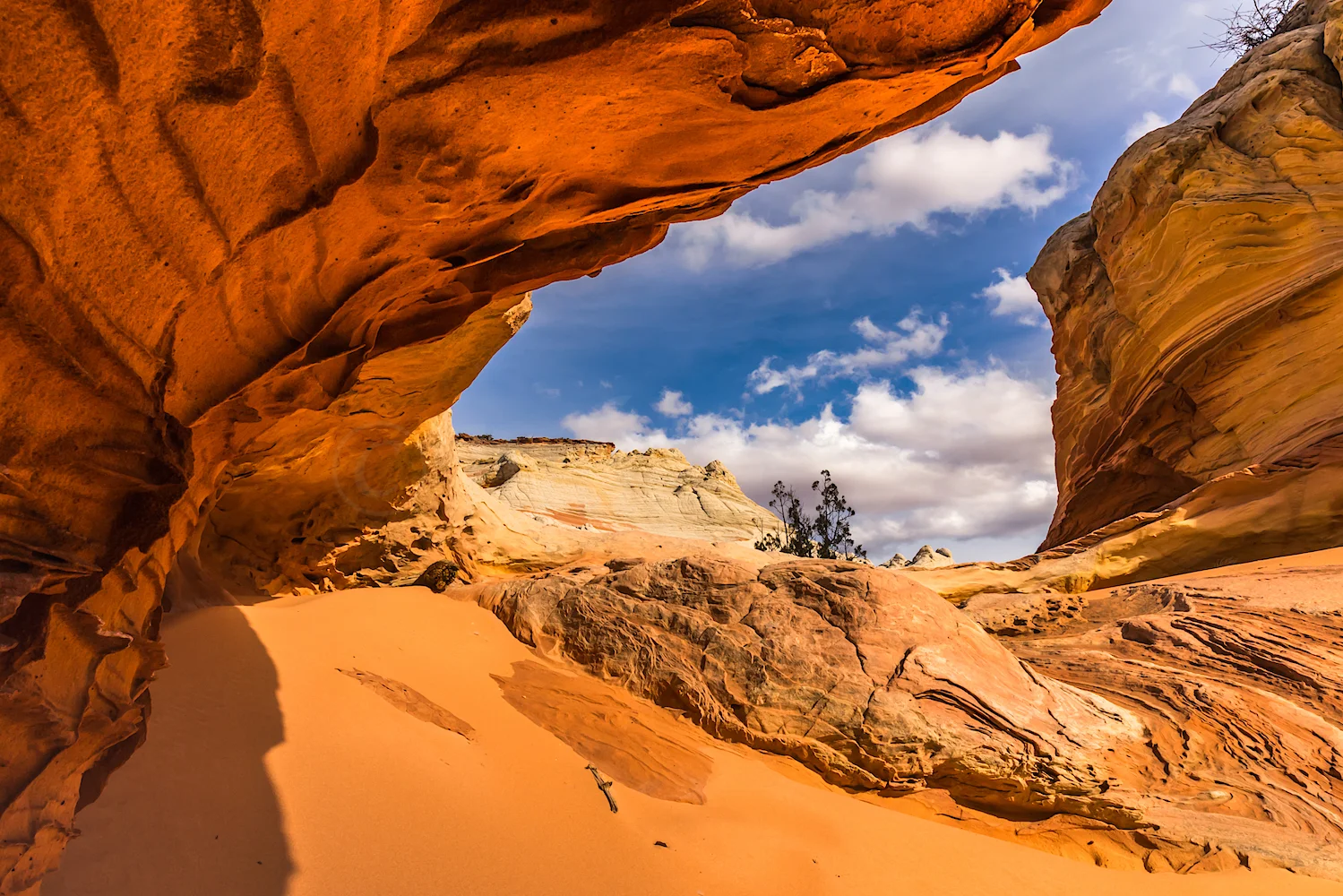 White Pocket, Image # 2550