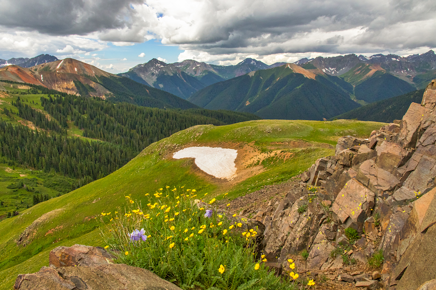 View across the meadow to the San Juan Mountains