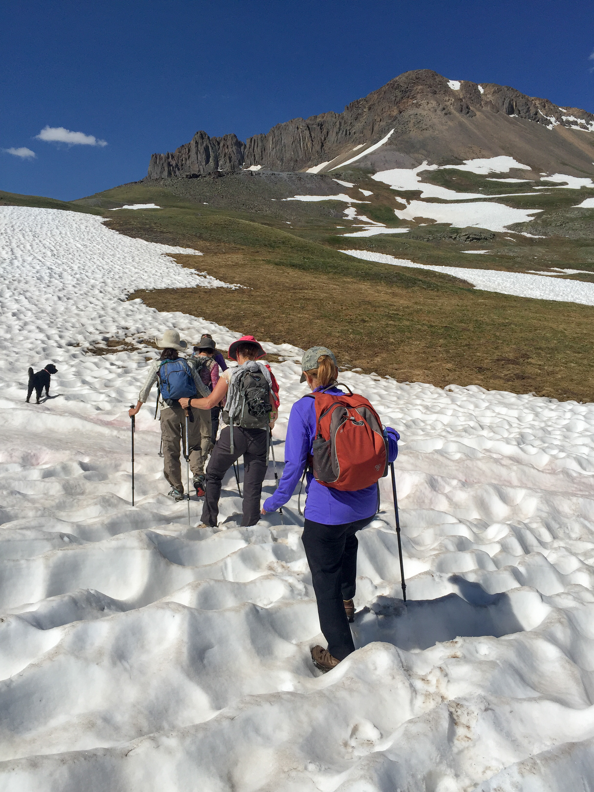 Moxie's heading up the snowy route