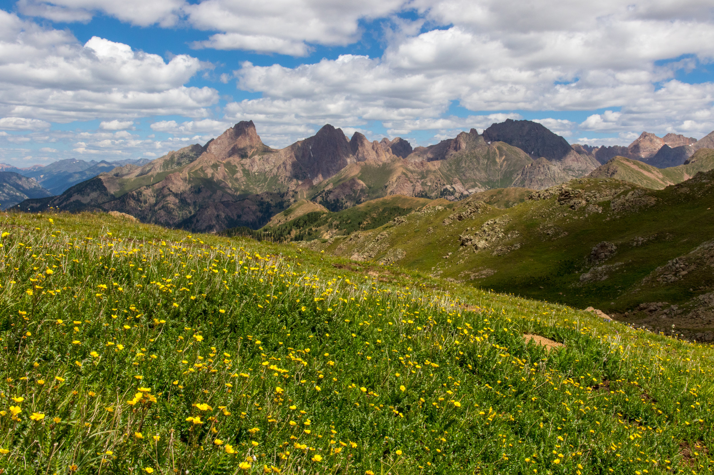 Ridge covered with Wildflowers