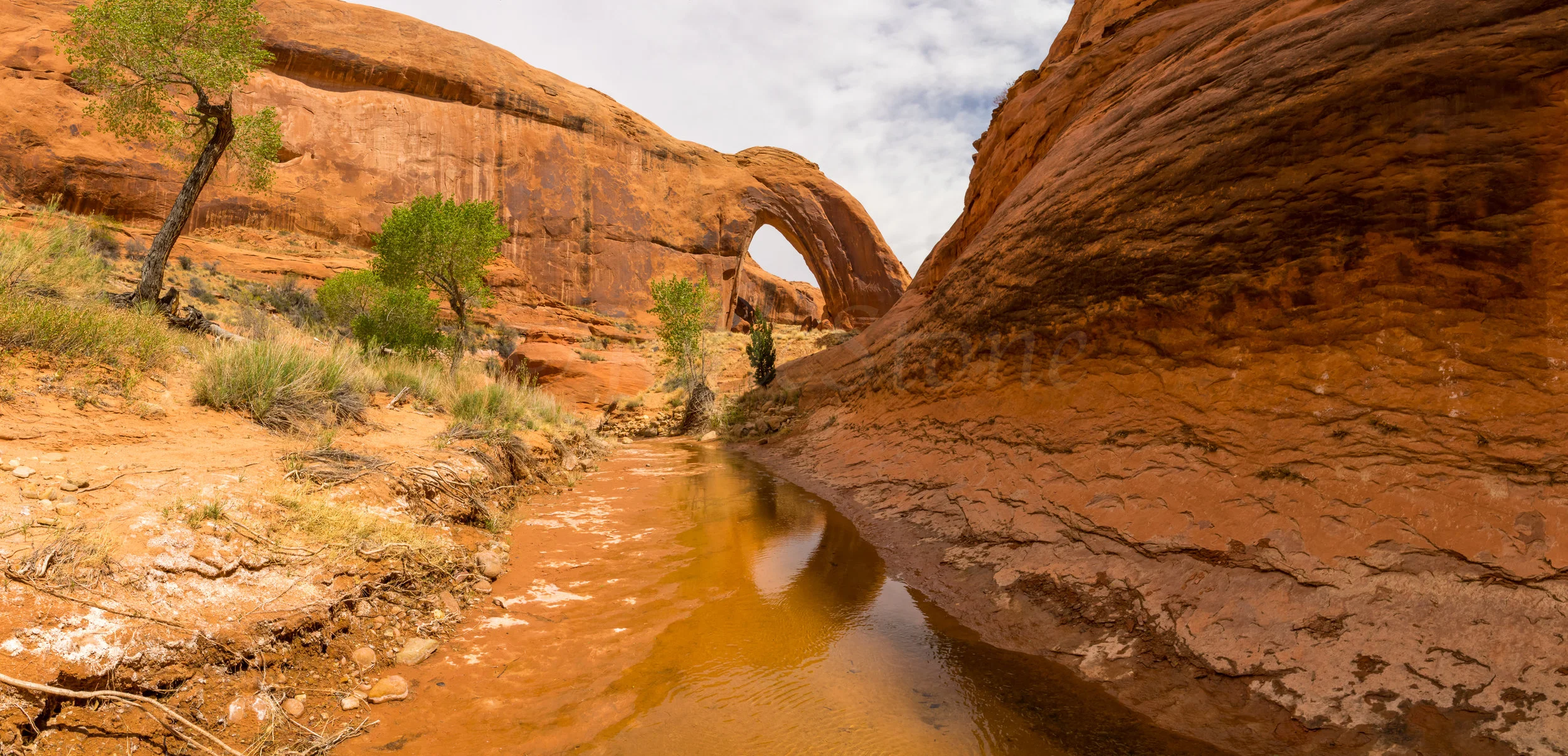 Bow Arch, Image # 2395