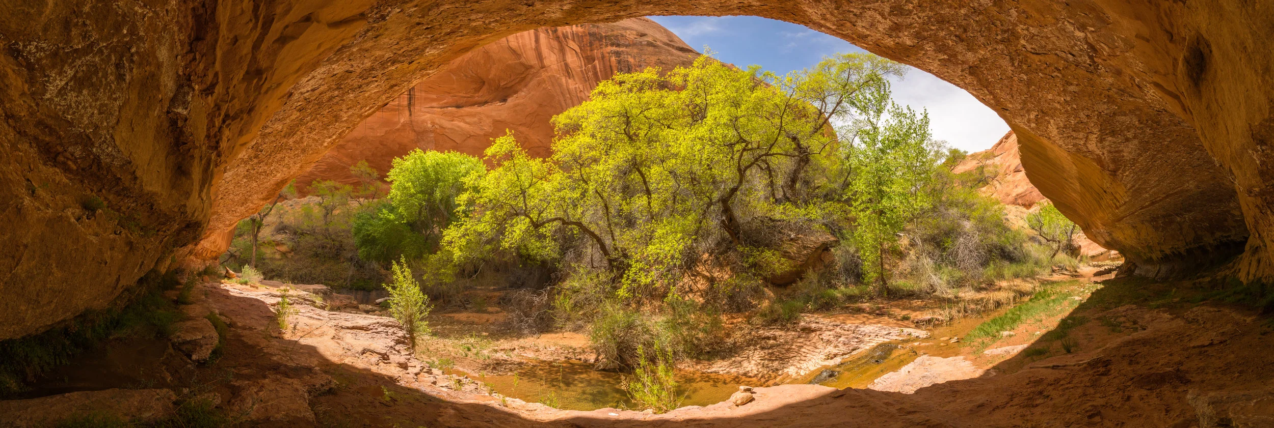 Bow Arch, Image #2240