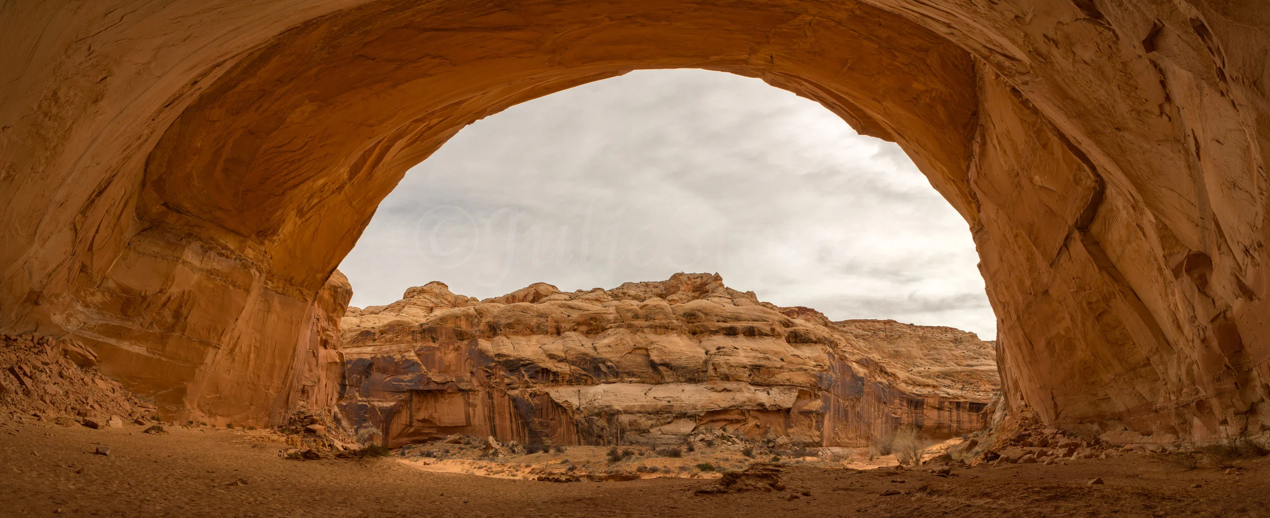 HORSEHOE CANYON, IMAGE # 8985