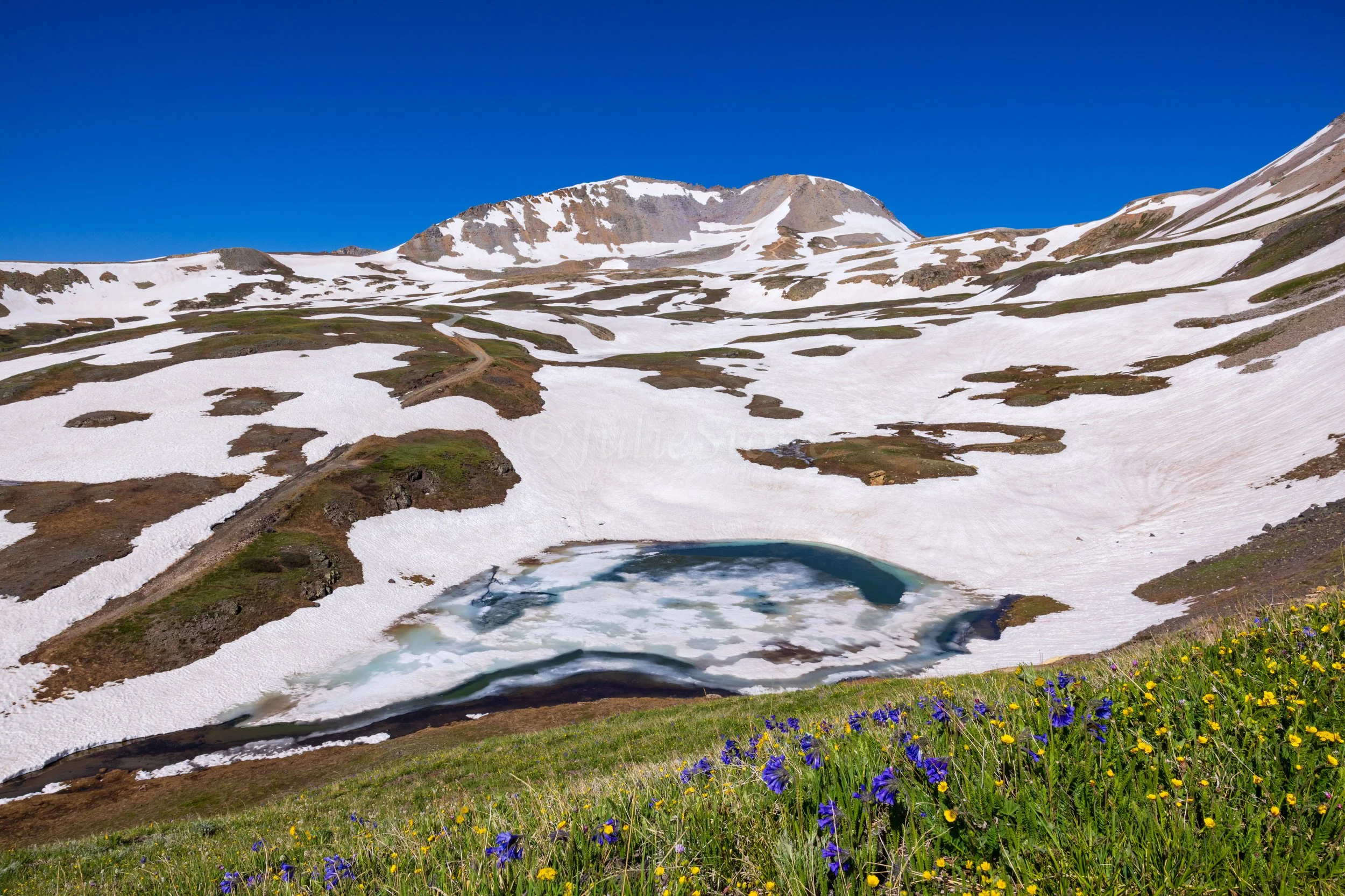 JRS_5661-Edit.jpg