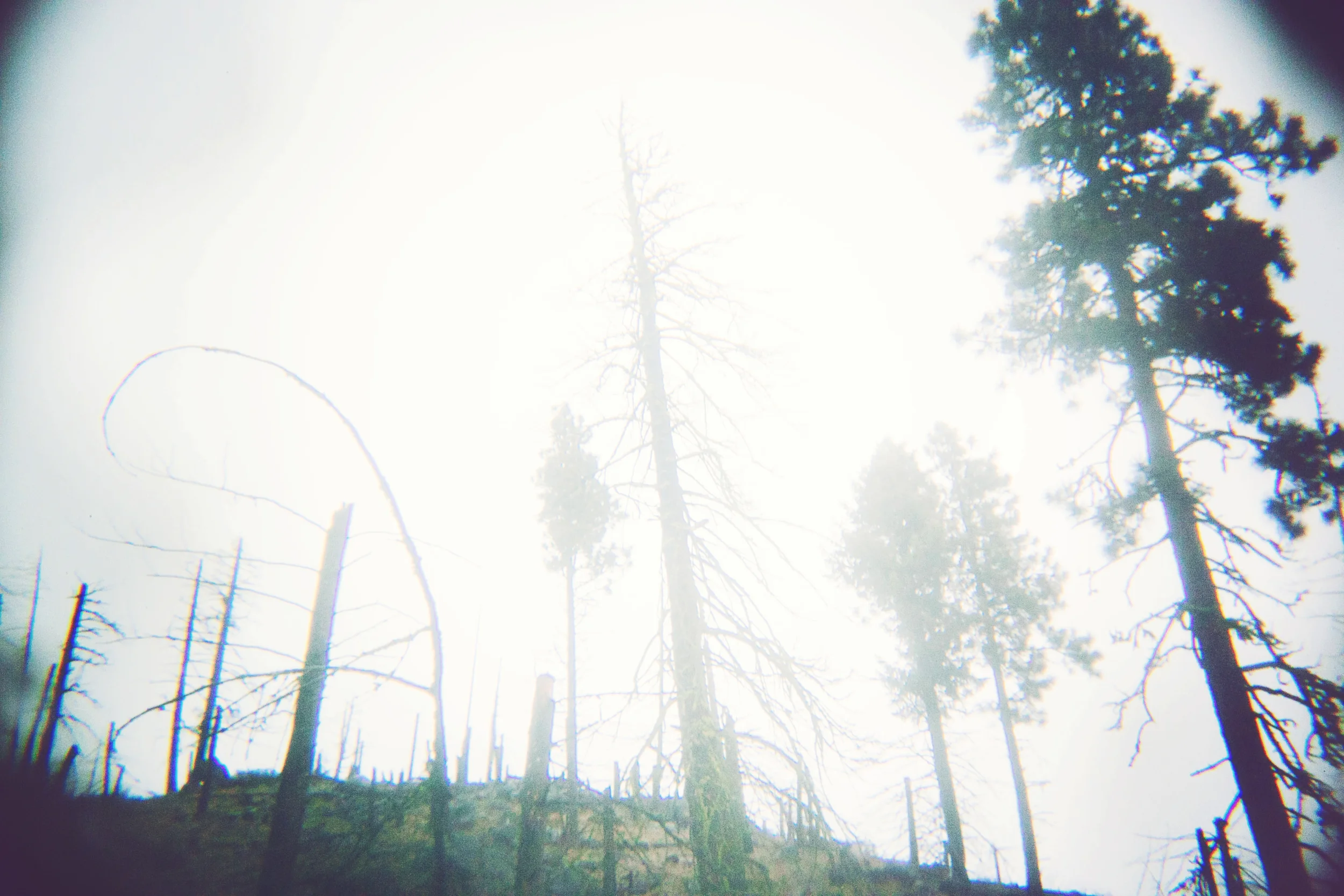 JMP_7645.jpg