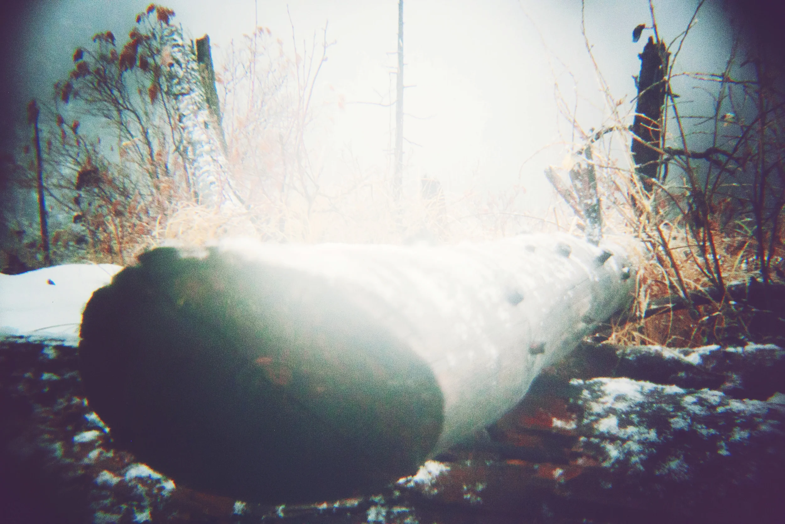 JMP_7654.jpg