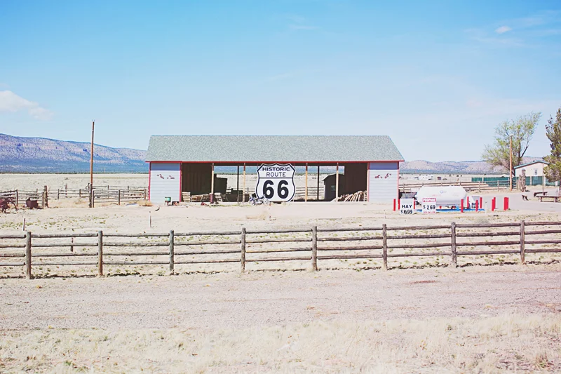 arizona147-3116034493-O.jpg