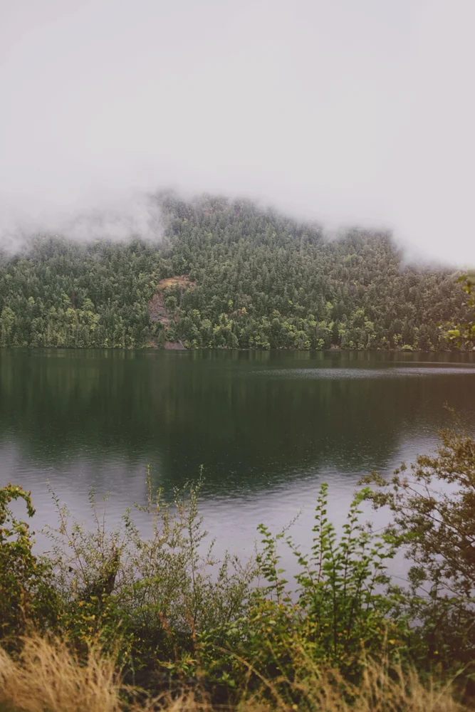 tofino0004.jpg