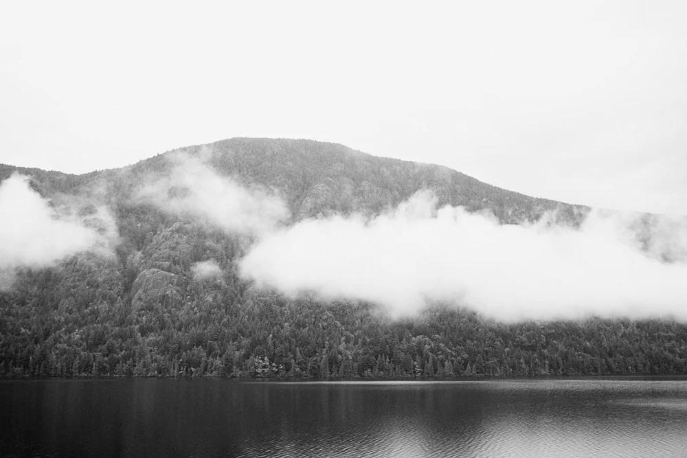 tofino0005.jpg