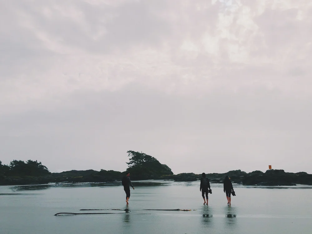 tofino0014.jpg