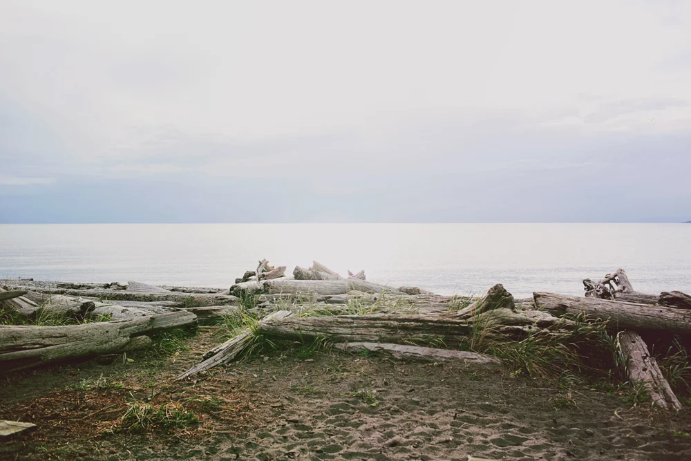 tofino0023.jpg