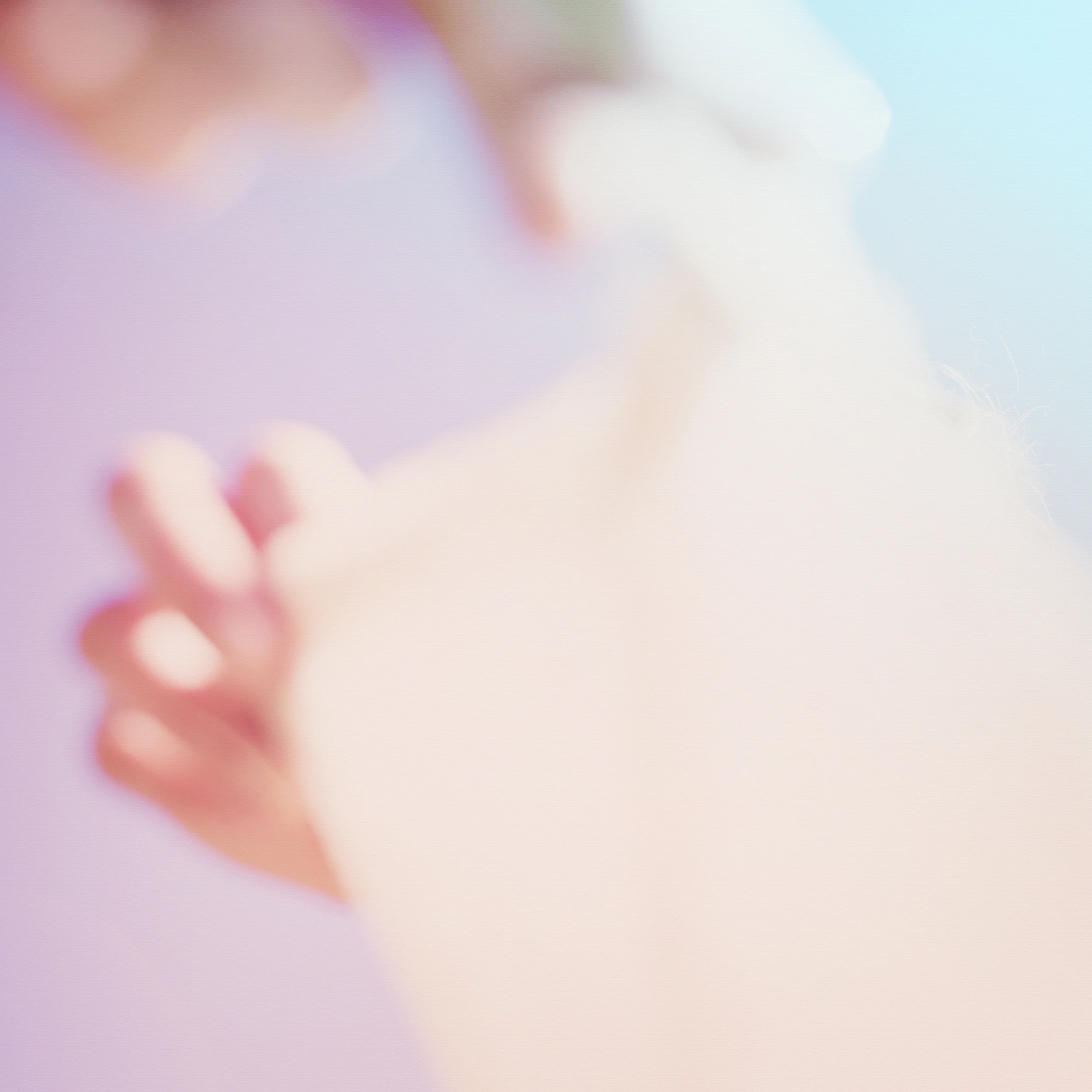 JMP_8156.jpg