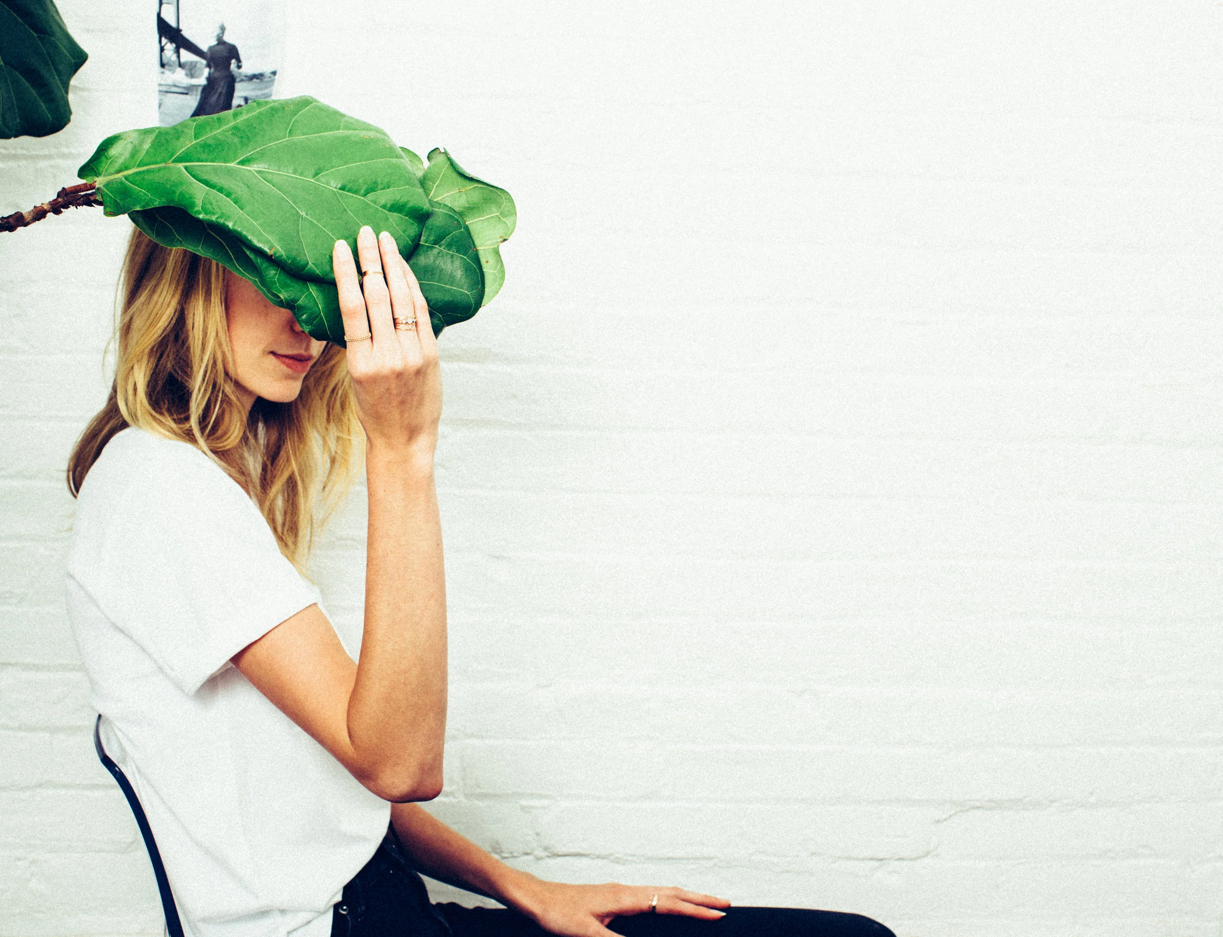 everlane-8.jpg