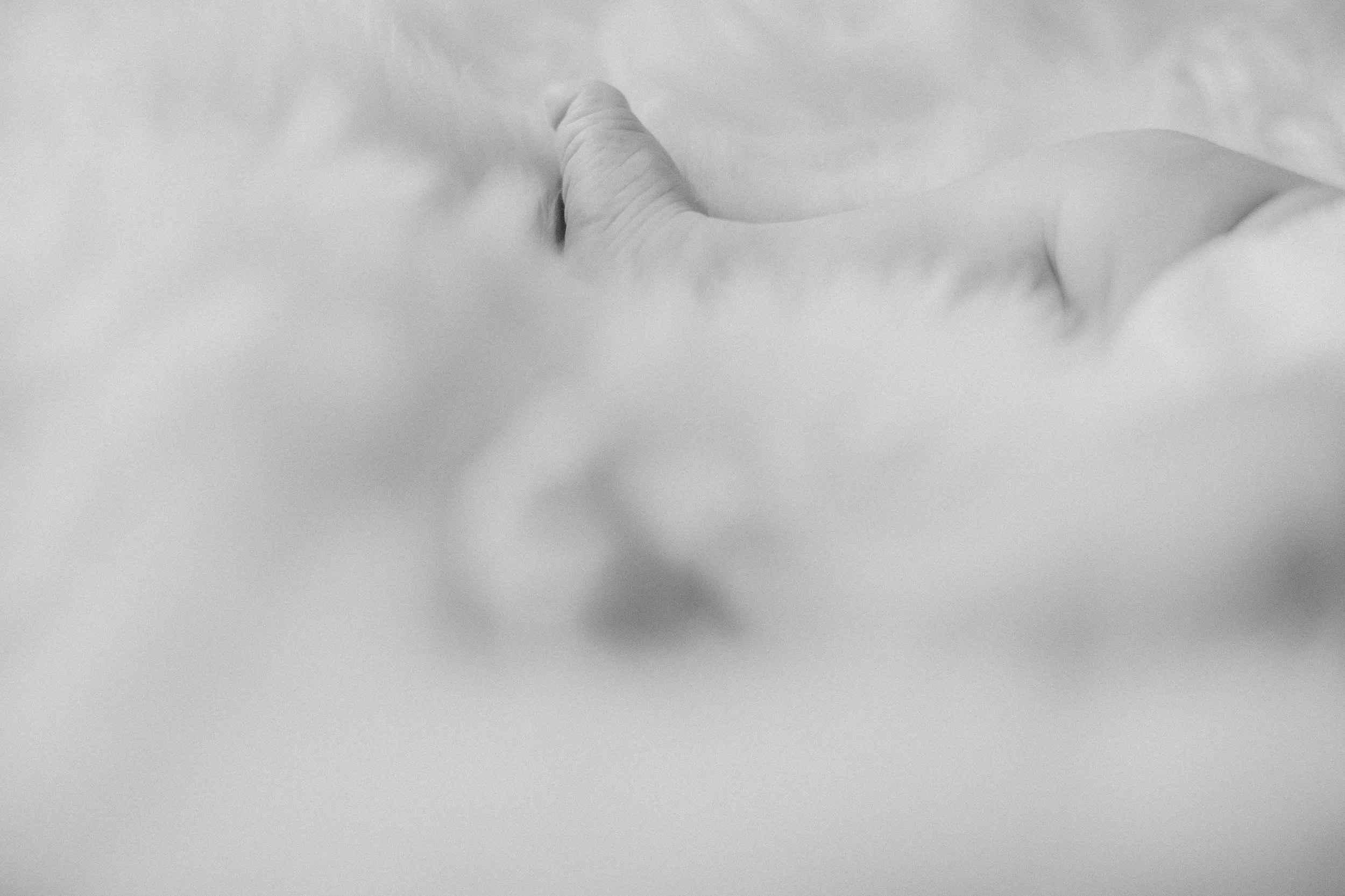 younglove-12.jpg