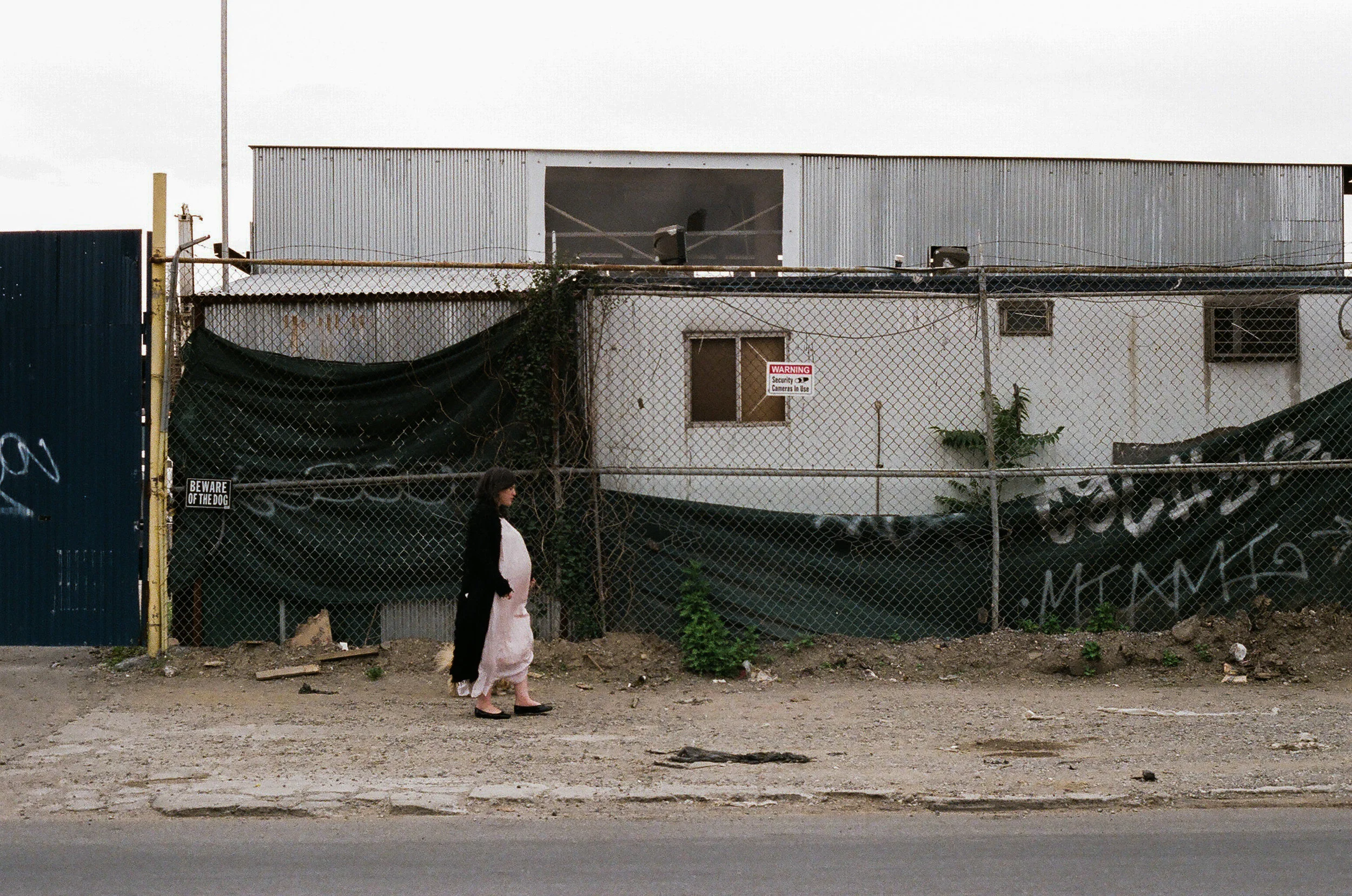 younglove-28.jpg