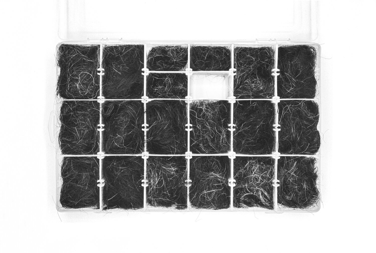       Hair (a) Getting grey. Collection of hair from different cuts. 2013 - 2017 Rome / Cairo / New York    35mm film B/W      