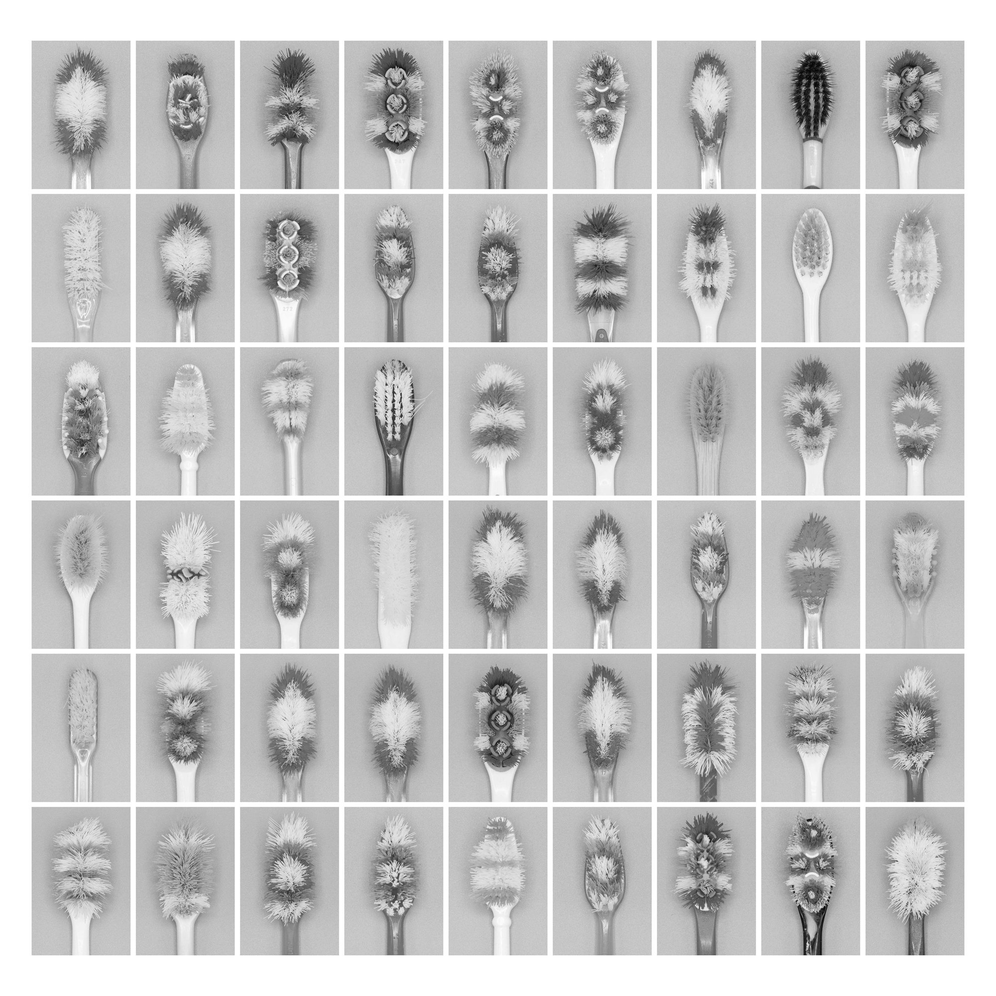       Therapy   I am a collector.  For as long as I can remember, I’ve gathered and preserved things: objects, traces, fragments of daily life. What began as a personal archive of notebooks, cans, toys, receipts, even teeth and hair, eventually revea