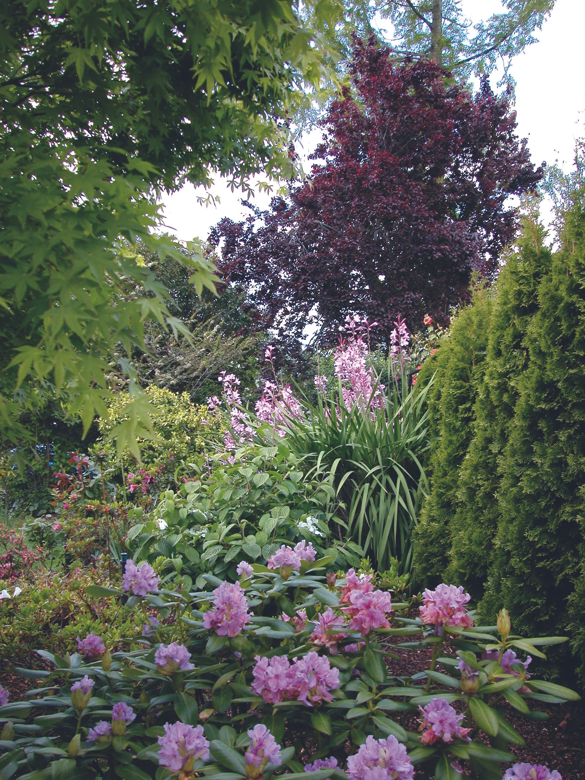 DSCN4026.JPG